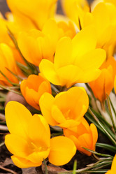 Similar image 2219229