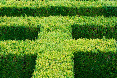 Similar image 2219230