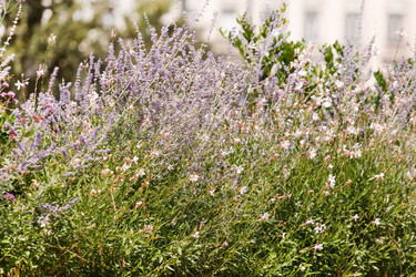 Similar image 2219232