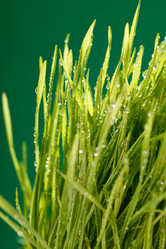 Similar image 2219239