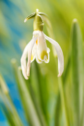 Similar image 2219241