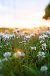 Similar image 2219314