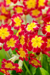 Similar image 2219315