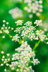 Similar image 2219320