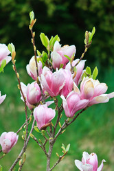 Similar image 2219321