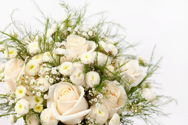 Similar image 2219323