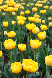 Similar image 2219325