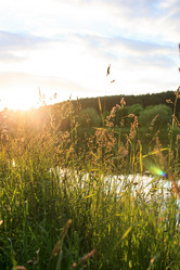 Similar image 2219328