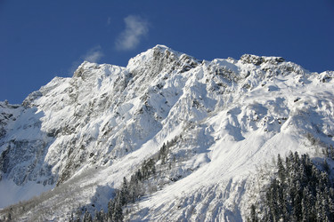 Similar image 2219394