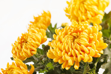 Similar image 2219396