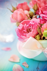 Similar image 2219402