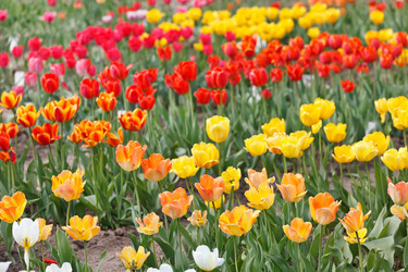 Similar image 2219409