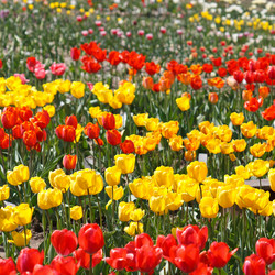 Similar image 2219410