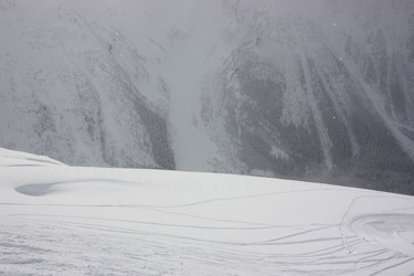 Similar image 2219477