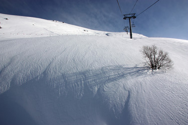 Similar image 2219479