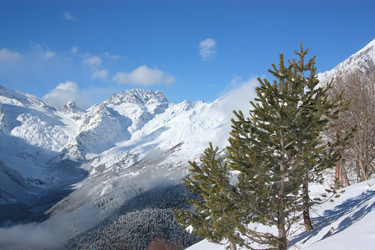 Similar image 2219495