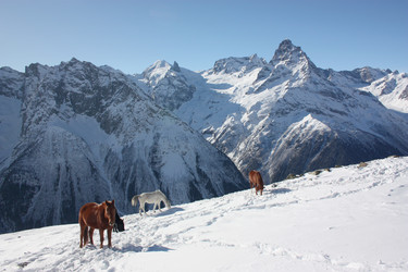 Similar image 2219498