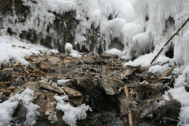 Similar image 2219807