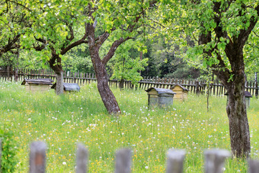 Similar image 2220200