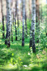 Similar image 2220201