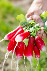 Similar image 2220203