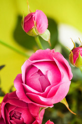 Similar image 2220248