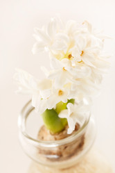 Similar image 2220285