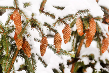 Similar image 2220286