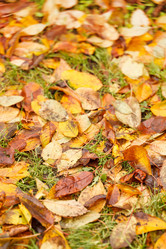 Similar image 2220333