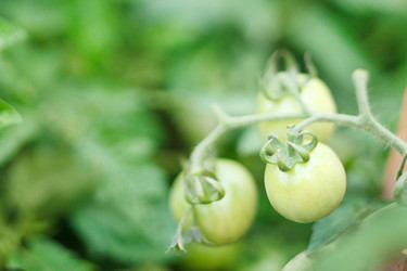 Similar image 2220345