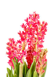 Similar image 2220350