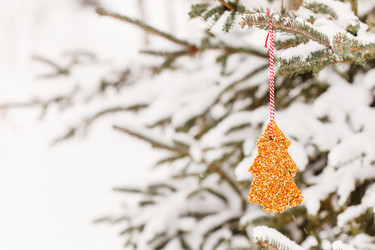 Similar image 2220354