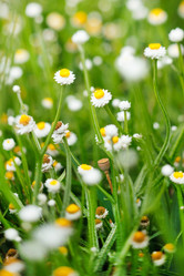 Similar image 2220360