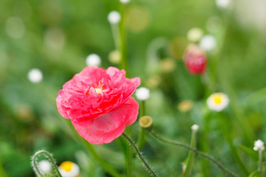 Similar image 2220361