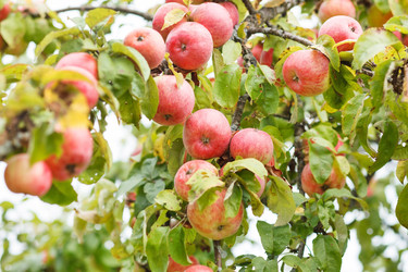 Similar image 2220366