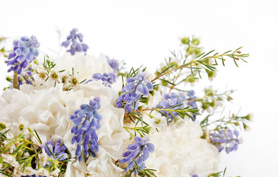 Similar image 2220369