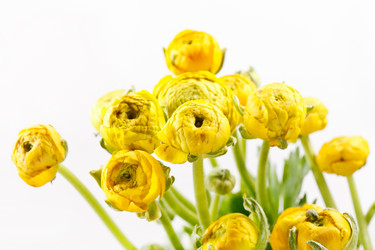 Similar image 2220375