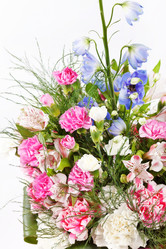 Similar image 2220400