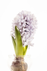 Similar image 2220402