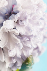 Similar image 2220408