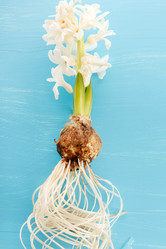 Similar image 2220409