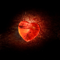 Similar image 2220422