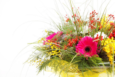 Similar image 2220426