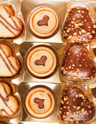 Similar image 2220453