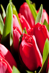 Similar image 2220465