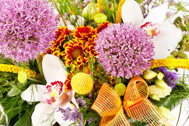 Similar image 2220606