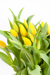 Similar image 2220609