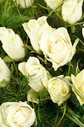 Similar image 2220625