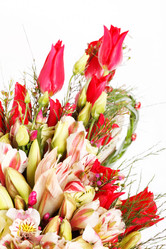 Similar image 2220626