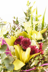 Similar image 2220630